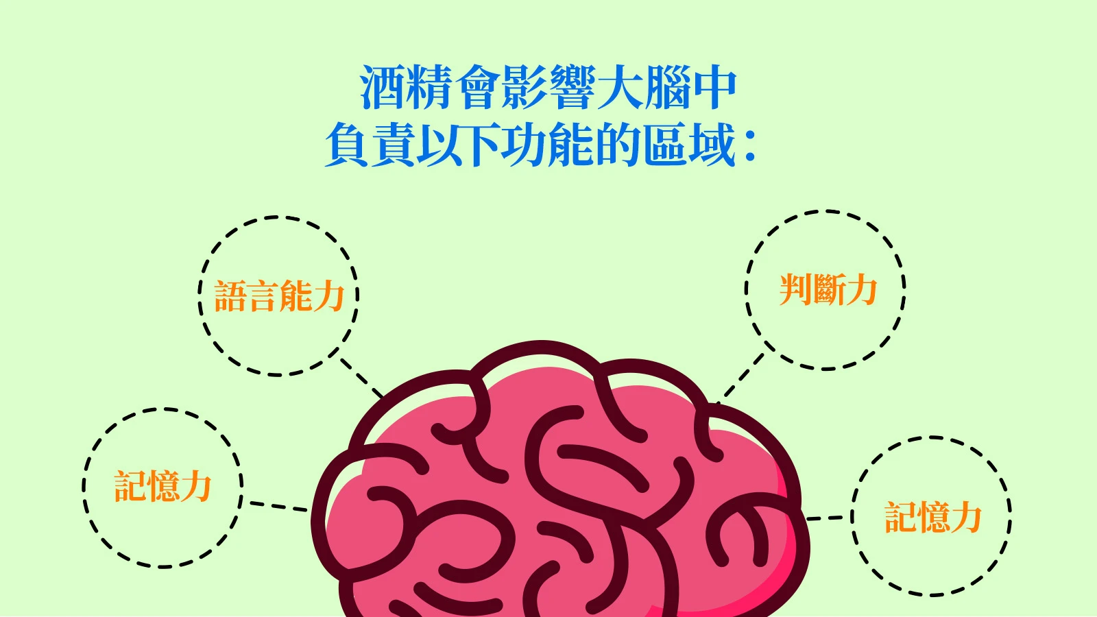 受到酒精影響的腦部區域
