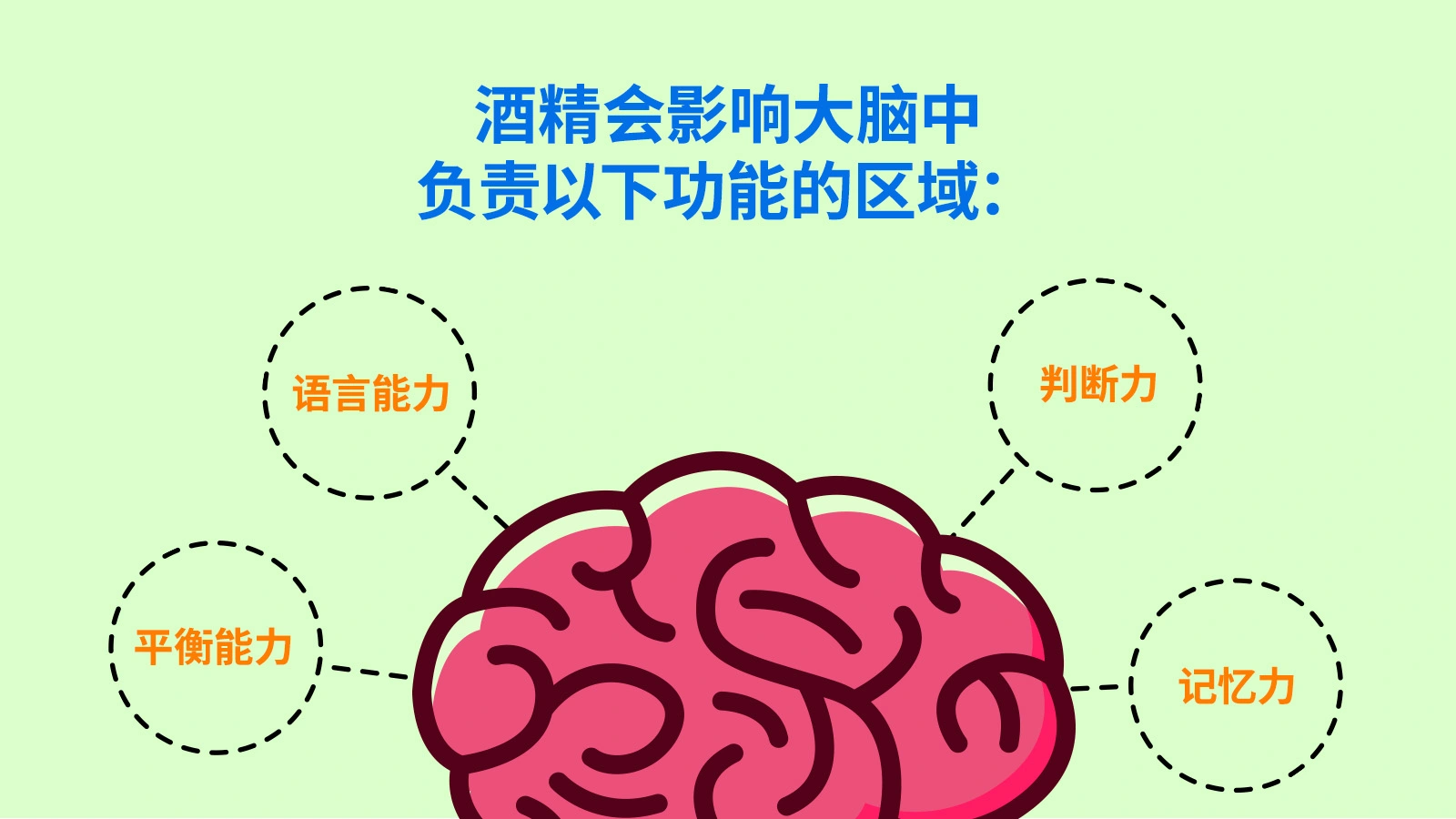 酒精影响的脑区