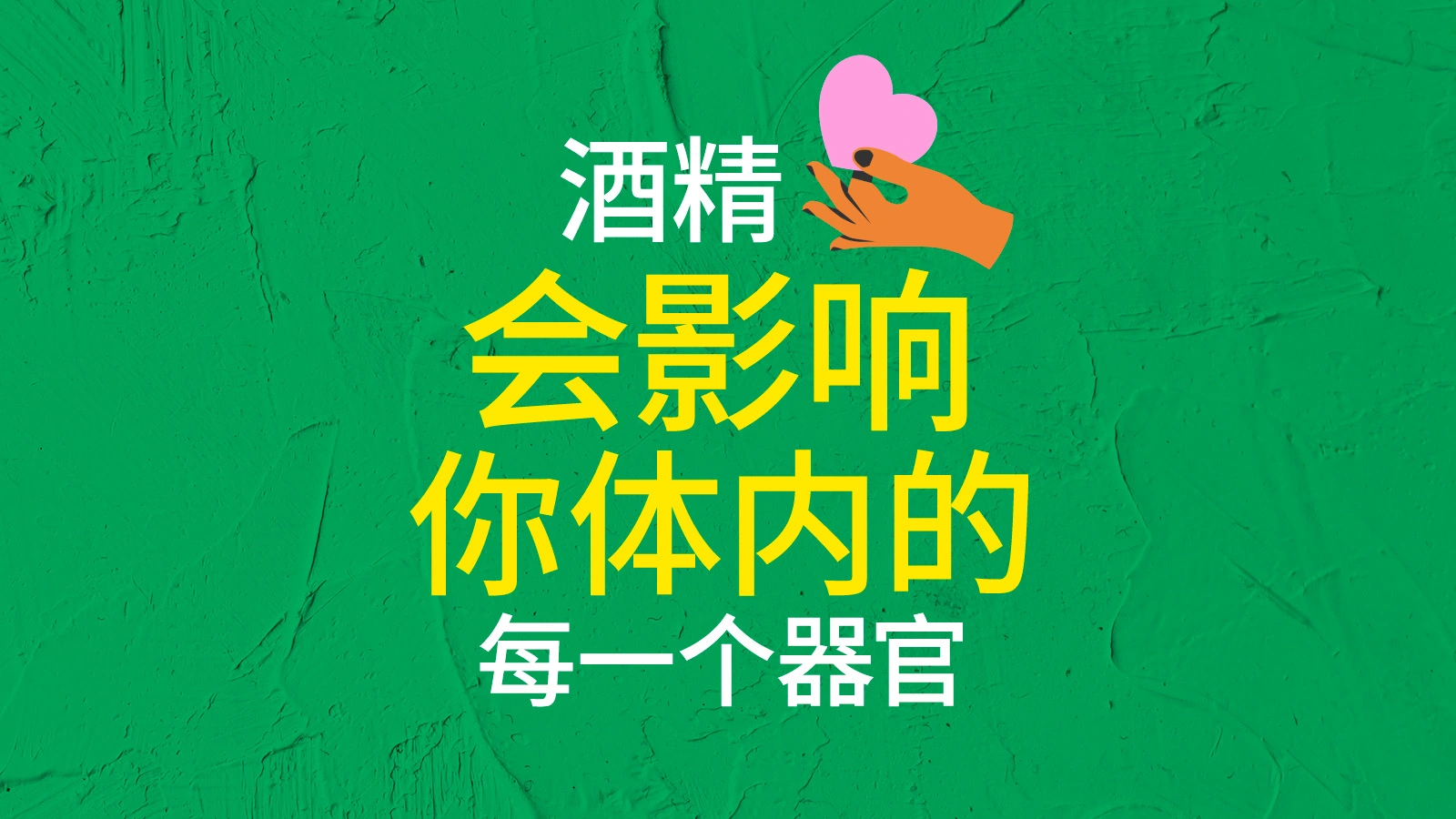  酒精影响身体的每个器官